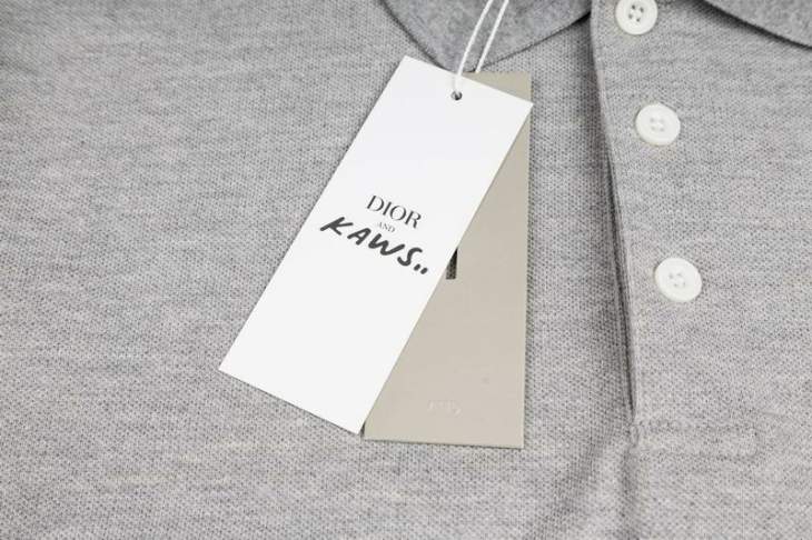 Dior Polo Shirts Short _SKUDiorS-2XLxetr52828361